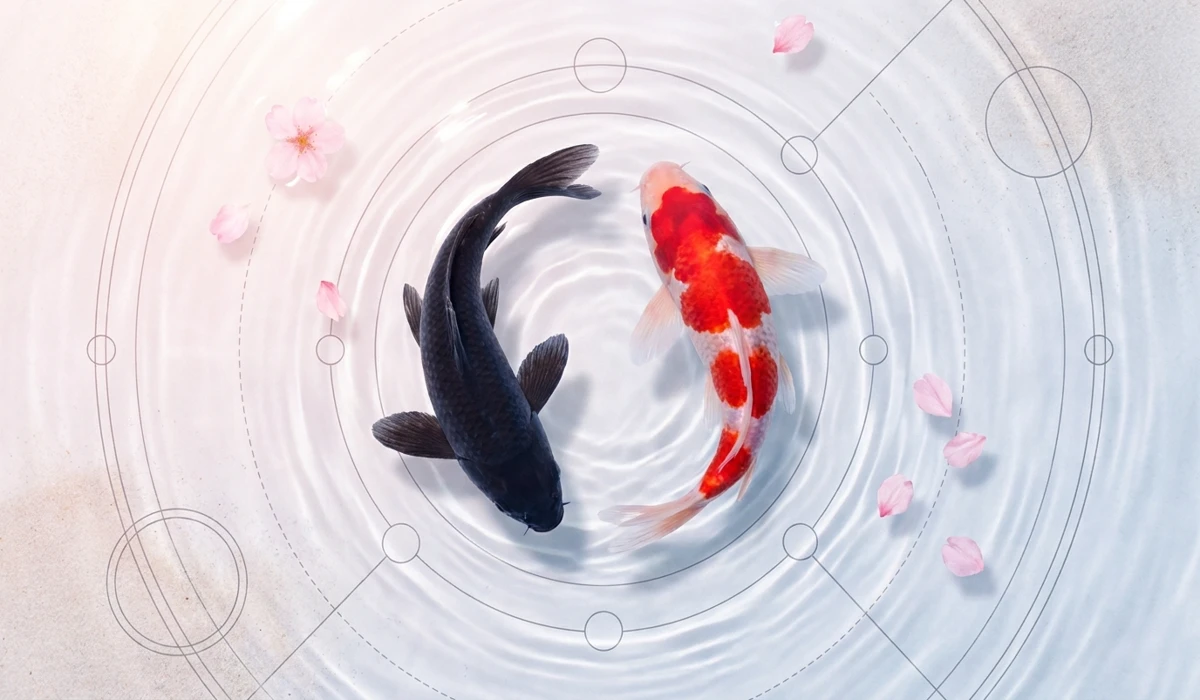 Swimming Upstream: The Symbolic Meaning of Koi Fish for Resilience and Luck 1 - Buddha Bodhis Two Koi fish swimming in a Yin Yang formation representing balance, harmony, and the spiritual philosophy of the flow of life.